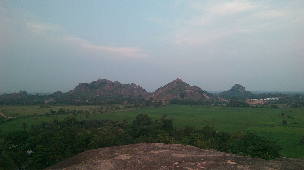 Packers And Movers In Godda