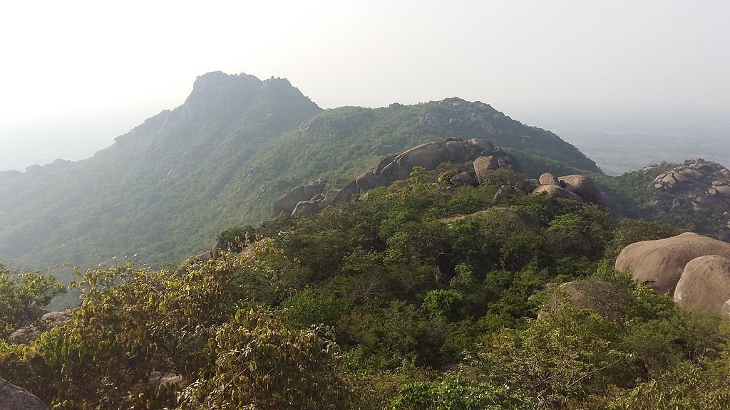 Packers And Movers In Deoghar