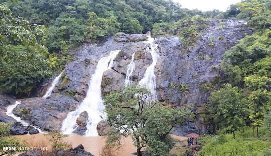 Packers And Movers In West Singhbhum